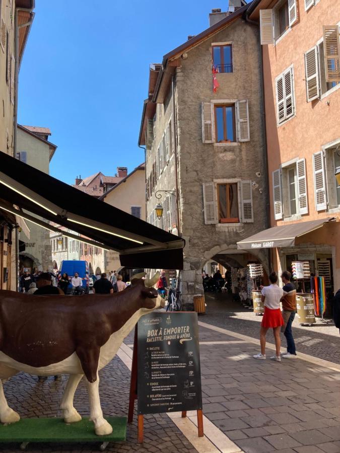 2 Pieces Cosy Lejlighed Annecy Eksteriør billede